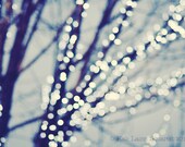 Twinkle Twinkle  -  Signed Fine Art Photography Original Print  (8X12 ) IN STOCK