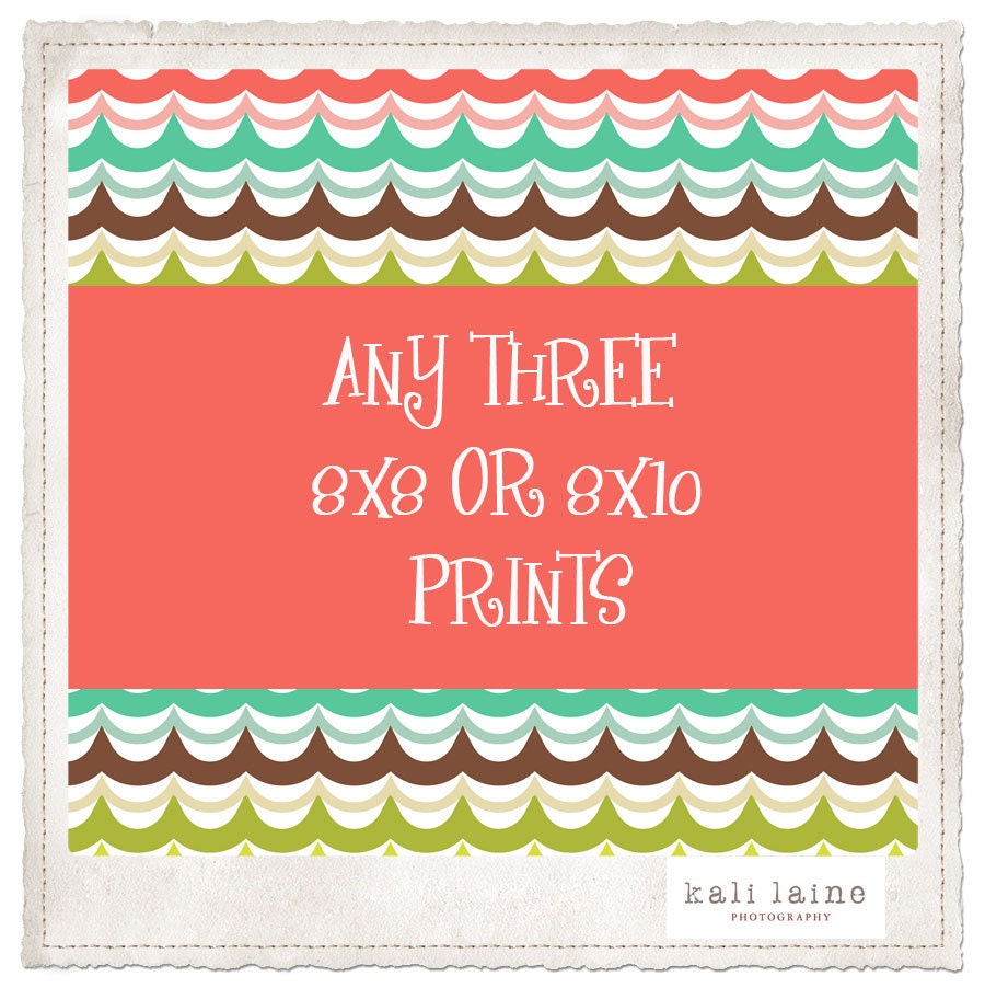 SALE- Any three 8x8 or 8x10 phtographs. YOU PICK 3. Mix and match sizes and non-metallic and metallic print.