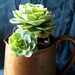 Copper Pitcher West Bend Moscow Mule