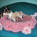 Home Pets Sweater Dog Chihuahua Pets clothing Pet Fashion Gift Handmade Coat Knitted Crochet Pets Puppy Ecological Ram Dog Sweater