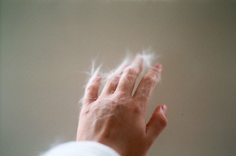 Fluff Print
