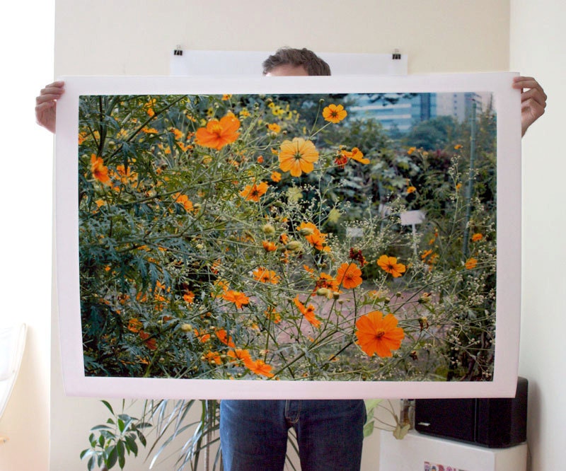Orange Flowers Print 30x40