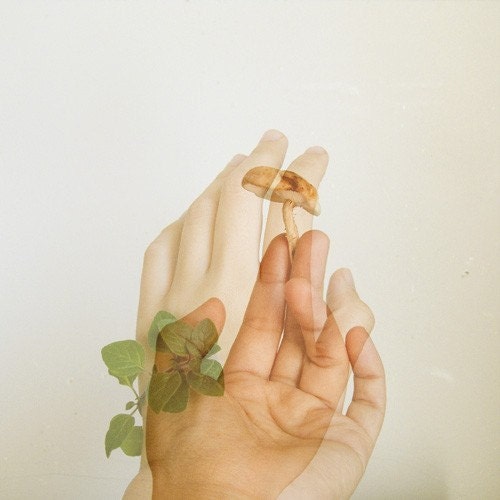 Sprout print (Shi-gano)