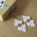 Lace Earrings - Mirror White Flowers
