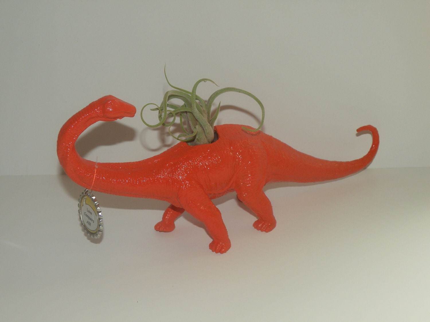 Dinosaur planter with air plant. Repurposed dinosaur toy.