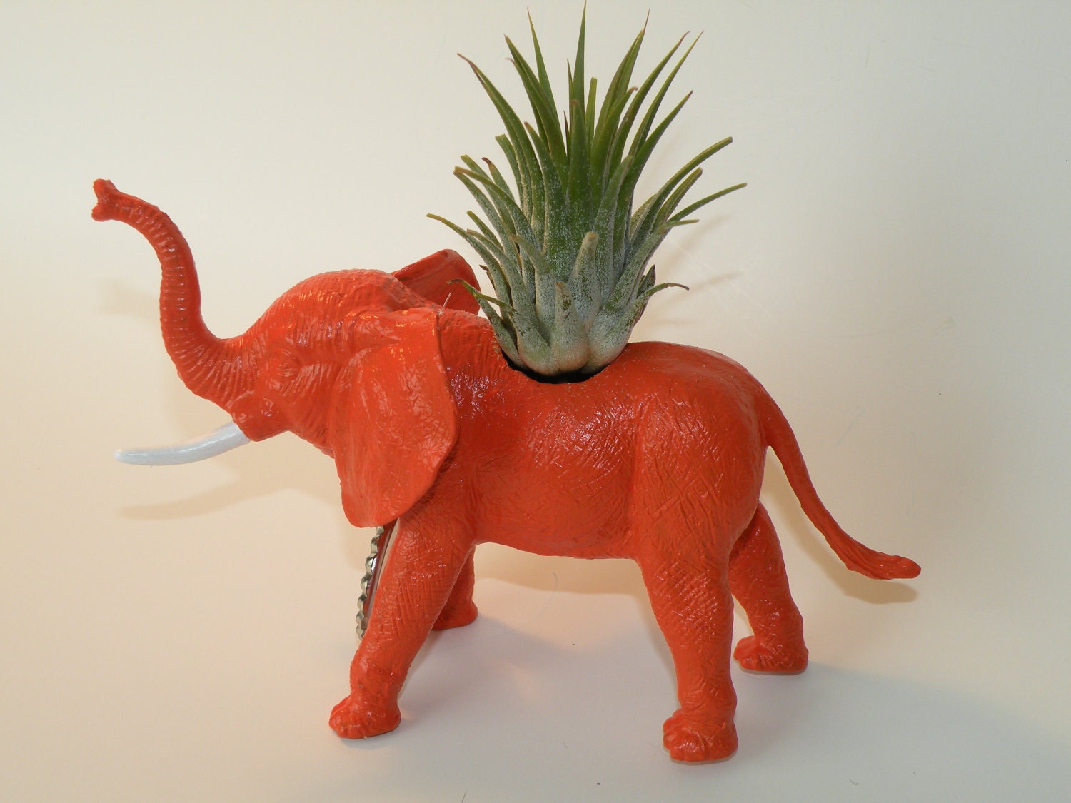 Air plant in elephant animal planter and personalized bottle cap message. Great gift for plant lover.