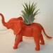 Air plant in elephant animal planter and personalized bottle cap message. Great gift for plant lover.