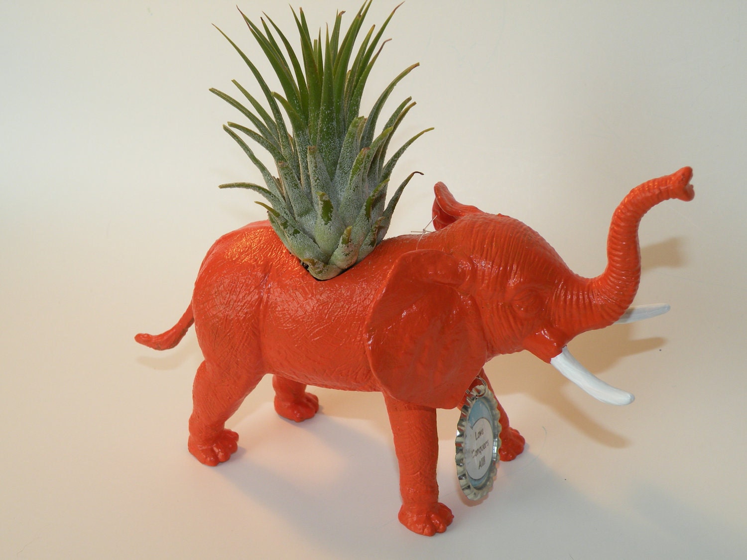 Air plant in elephant animal planter and personalized bottle cap message. Great gift for plant lover.