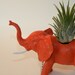 Air plant in elephant animal planter and personalized bottle cap message. Great gift for plant lover.