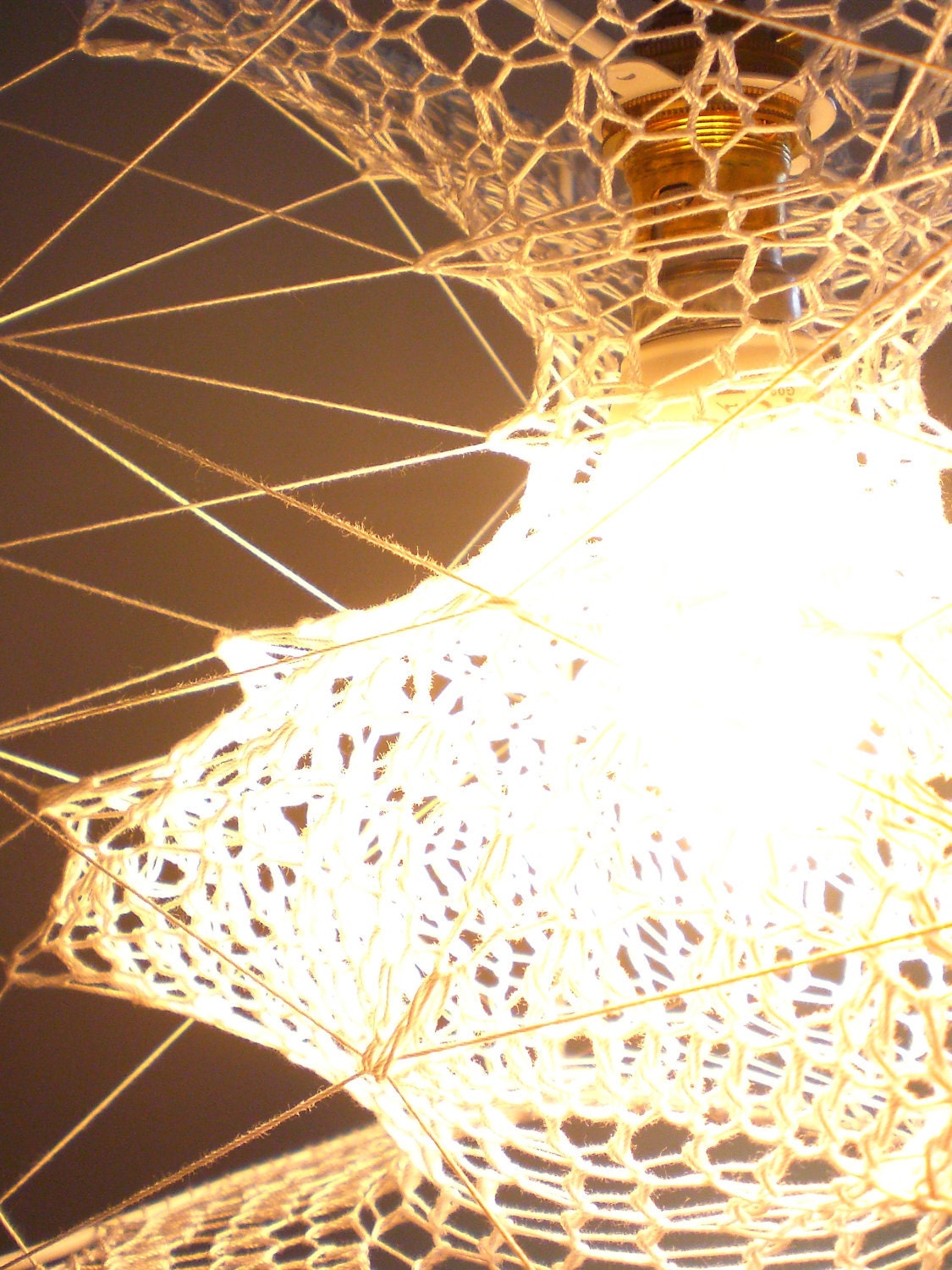 Seed Lampshade