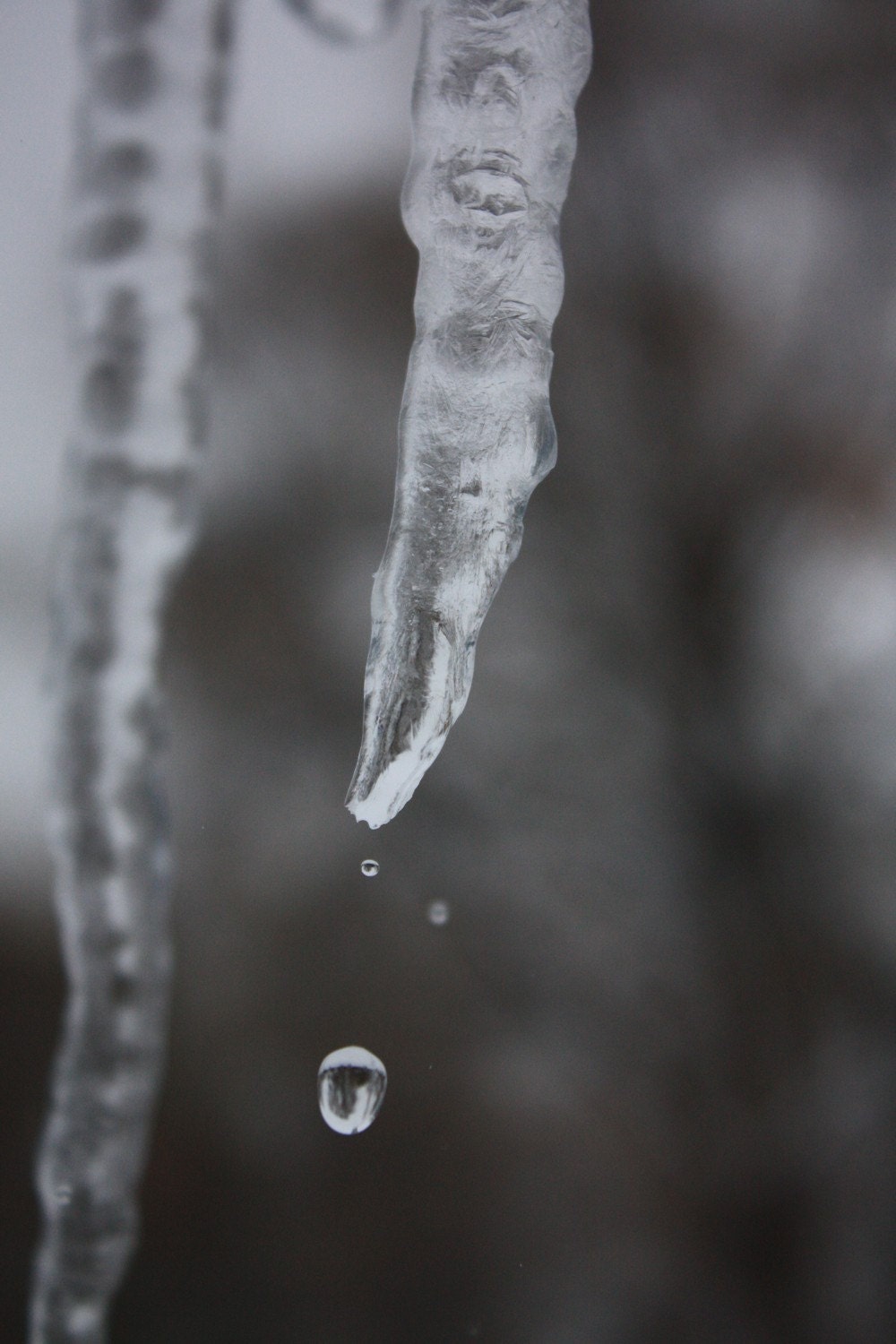 Large Ice Cicle Dripping Water