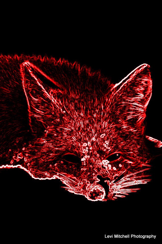 Red Neon Fox