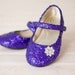 Customizeable GLITTER Shoes to Match your Wedding or Speical Event