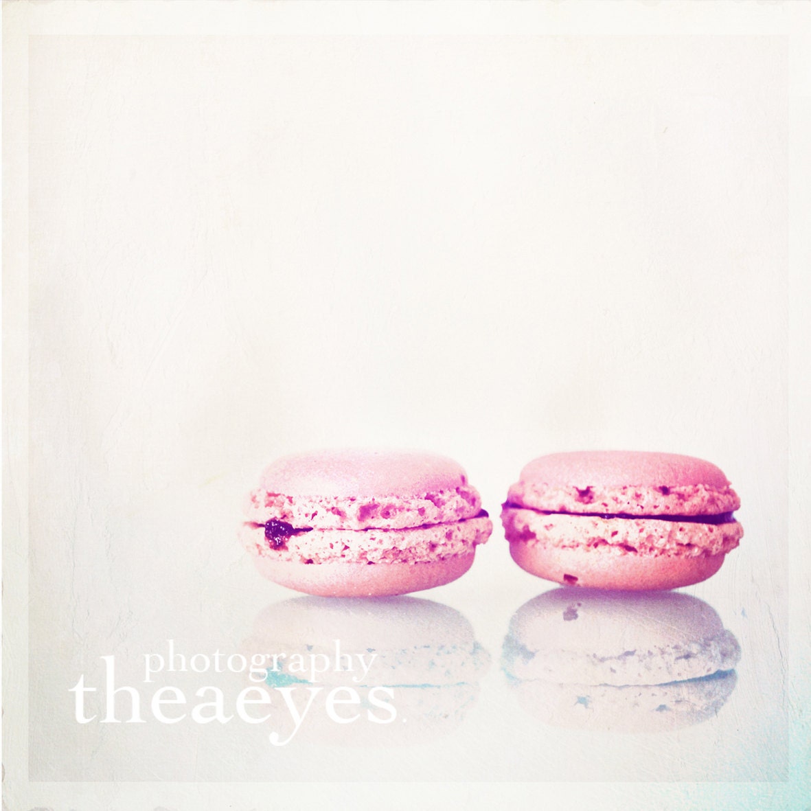 macarons love. - fineart photograph 8x8 inches