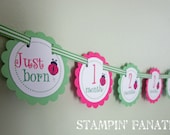 Pink and Lime Little Ladybug Collection Just Born/0-12 mos Banner with clips to hang pictures. First Birthday Photo Banner. Ladybug Banner. Il_170x135