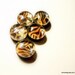 Marble Magnet Set  - Lava Lava