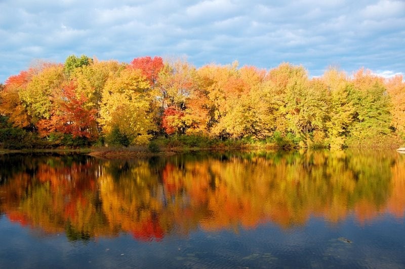 Autumn Landscape Photograph, Fall Photograph, Colorful Leaves, Burnt Orange  Autumn Colors 5 x 7 Fine Art Photography, Small Art Print