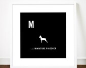 Miniature Pinscher print poster art illustration typography alphabet