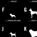 Dog Alphabet Nursery poster art print illustration typography