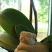 3 Zen Mini Lucky PUG Dog Buddhas and Foos Bonsai Statues