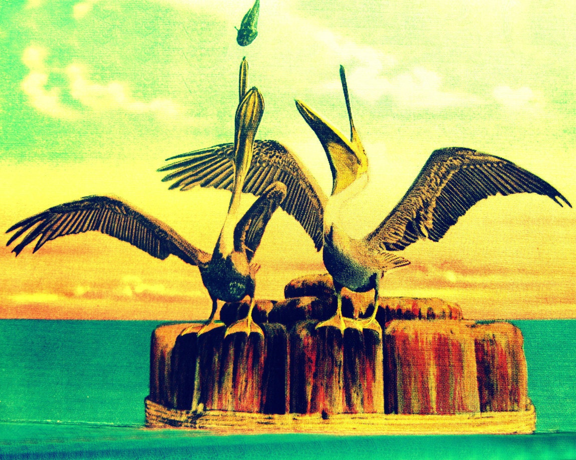 beach decor photo PELICANS 16x20 photograph coastal decor 1940s vintage aqua yellow birds beach lover gift Nostalgia nature