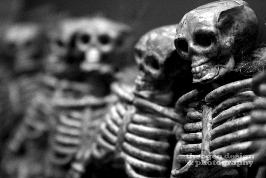 Skeleton Crew 8x10 fine art photograph (several additonal sizes available)
