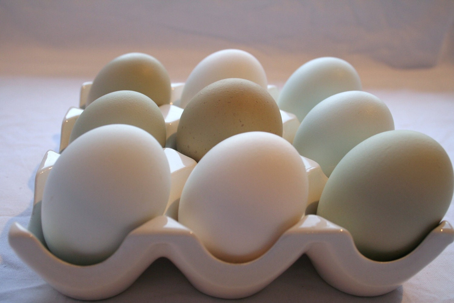 Colorful Chicken Eggs