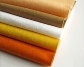 Wool Felt - SET of 5 sheets - No1