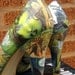 Poison Ivy Comic book high heels