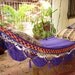 Violet Hammock, Hand Woven Natural Cotton with Special Fringe