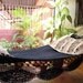 Black Magic Two, Single Hammock hand-woven Natural Cotton Simple Fringe