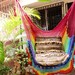 Rainbow Colors Sitting Hammock, Hanging Chair Natural Cotton and Wood plus Simple Fringe