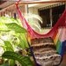 Rainbow Colors Sitting Hammock, Hanging Chair Natural Cotton and Wood