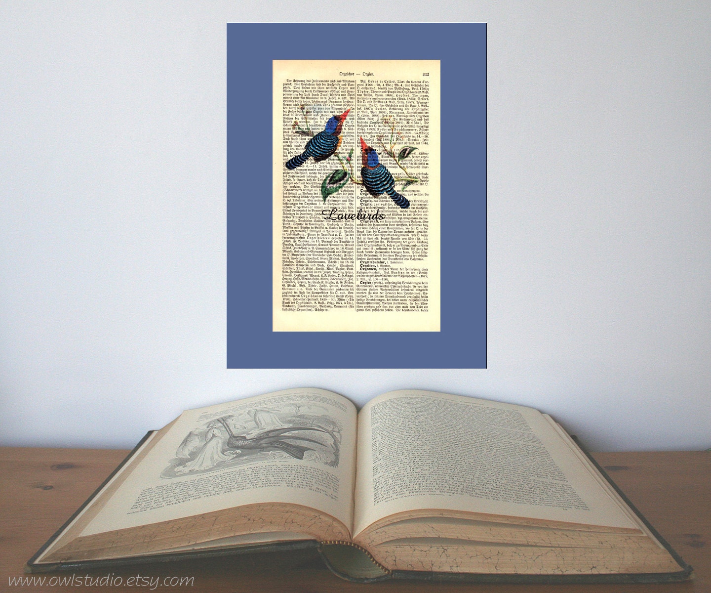 Lovebirds Vintage Art Print on Antique 1896 Dictionary Book Page
