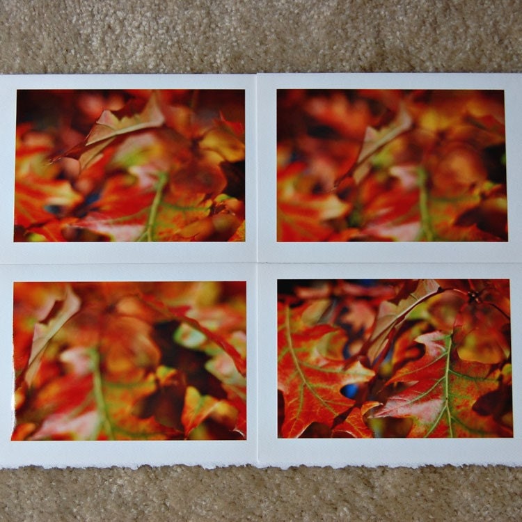 dragons breath / art cards - set of 4