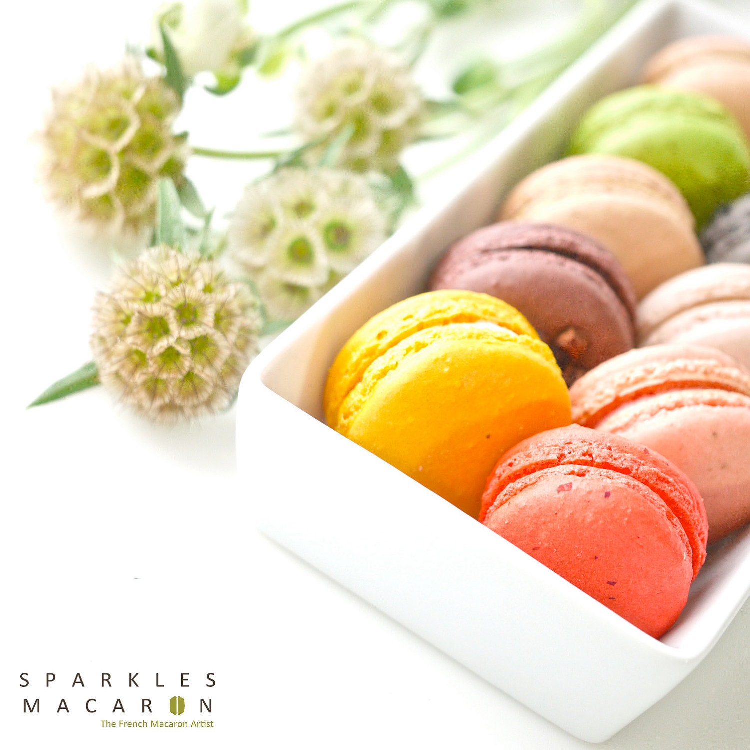 24 Assorted Regular French Macarons