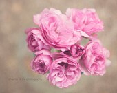 Pretty In Pink I 8x10 Print