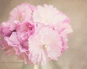 Pretty In Pink IV 8x10 Print