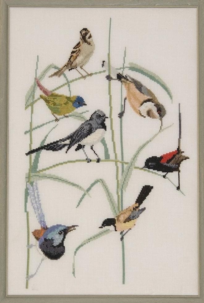 Framed Handstitched Garden Birds of Australia