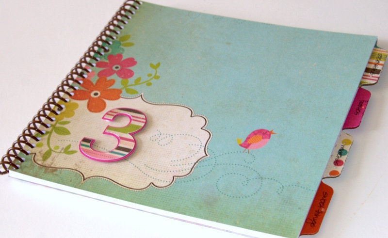 Baby Memory Book/ Girl Birthday Album Photo Book and Journal - EMMY Design Il_170x135