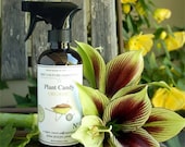PLANT CANDY - nutrient rich foliar boost for plants