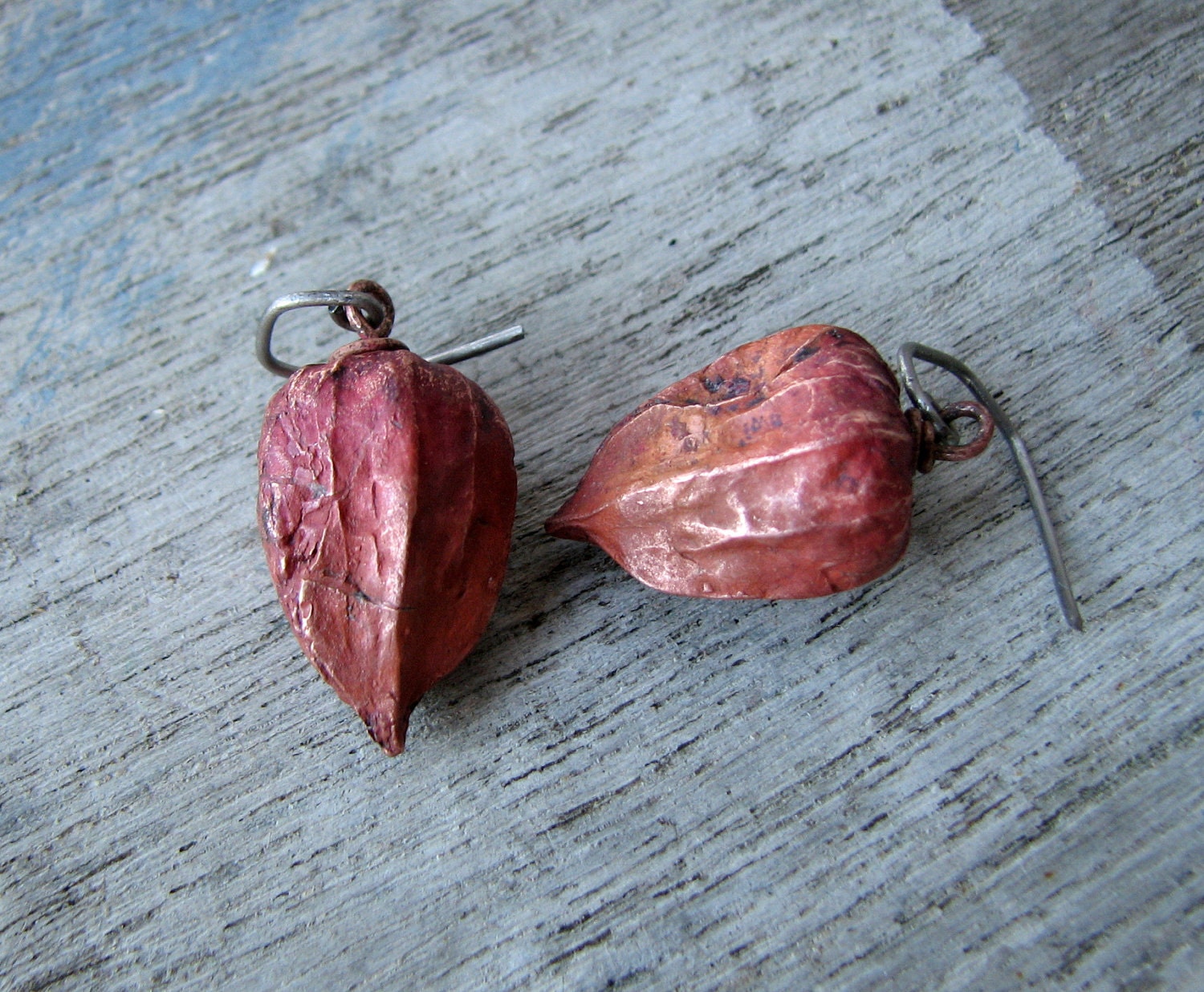 Chinese lantern earrings titanium dangle