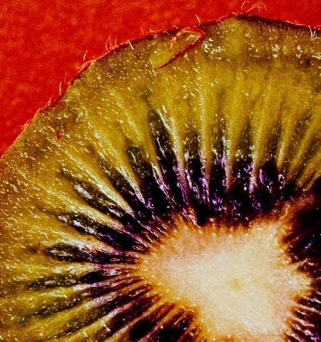 Macro Fruit Photograph Juicy Kiwi 6 x 6 Fine Art Print Fruit Citrus Culinary Art Pictures of Food Kitchen Dining Room Wall Decor Affordable