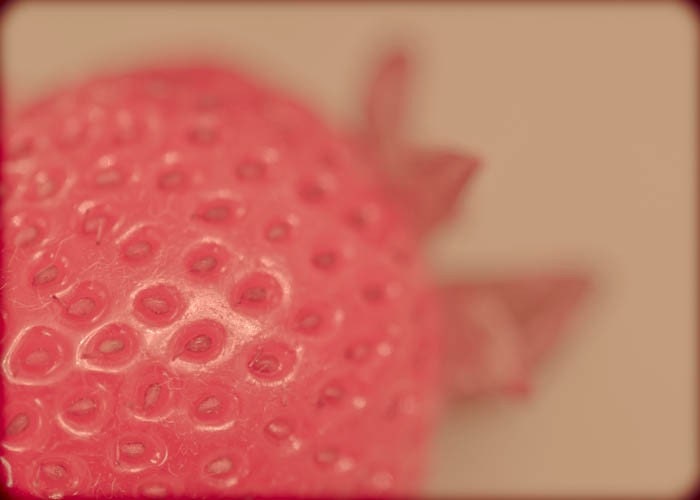 Macro Strawberry Photograph 5 x 7 Fine Art Macro Print Food Fruit Kitchen Dining Room Wall Art Home Decor Fruit Delicious Sweet Faded