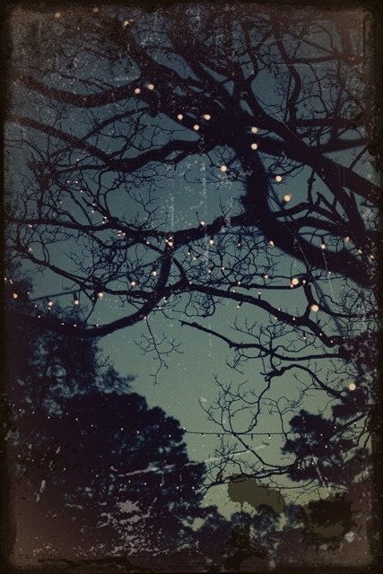 Where Henry Saw Stars - 8x10 Fine Art Photograph - Night Sky with White Lights