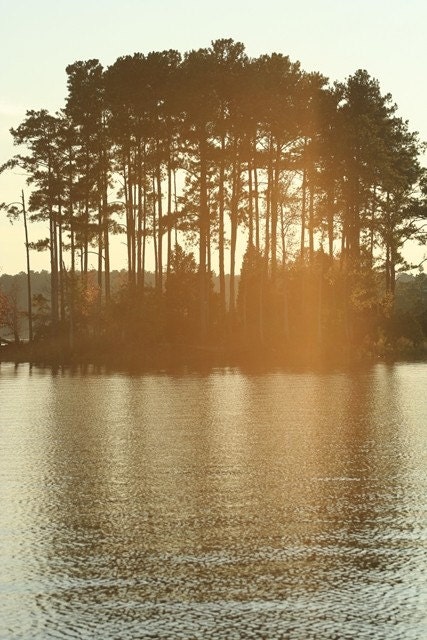 Treasure Island - 8x10 Fine Art Photograph - Coastal Living