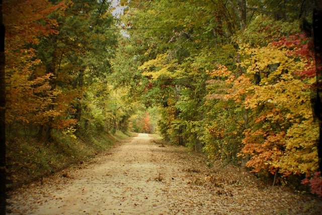Sunday Drive - 11x14 Fine Art Photograph - Country Road in Autumn - Fall Foliage Escapade - sintwister