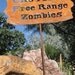 Caution, Free Range Zombies Metal Garden or Yard Sign