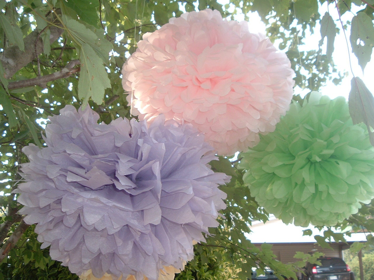 25 Poms...choose  your colors color.