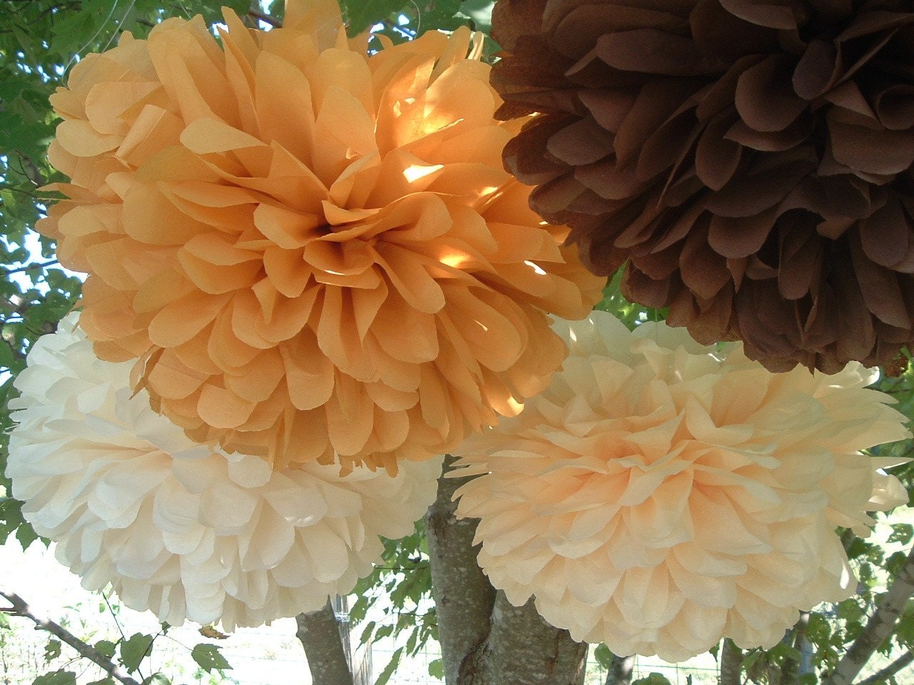 Set of 12  poms ...Pick your colors